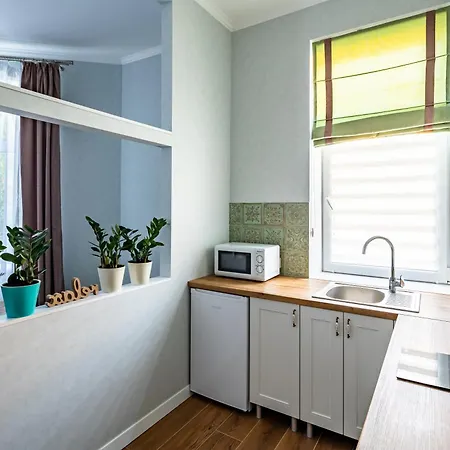 Leontovycha Apartament Lwów